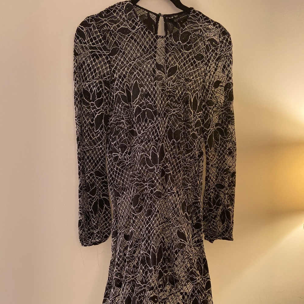 Brand new ZARA sheer dress (no tags)